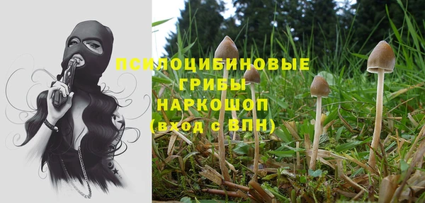 PSILOCYBIN Чегем