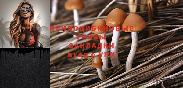 ECSTASY Чердынь