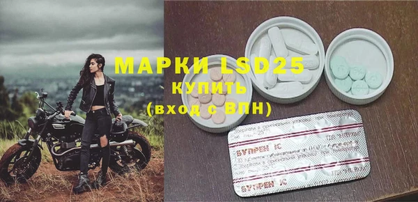 PSILOCYBIN Чегем