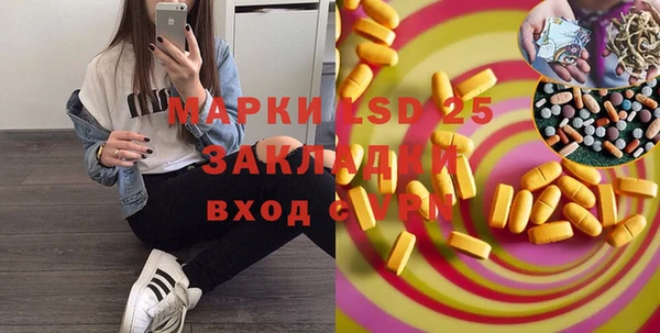 PSILOCYBIN Чегем