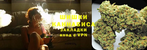 PSILOCYBIN Чегем