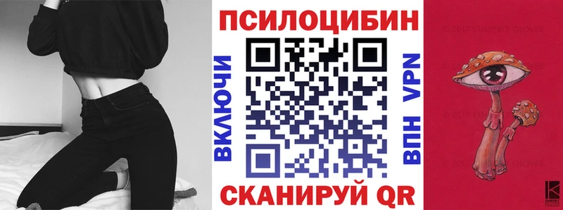 Купить закладки  Каргат  Псилоцибиновые грибы Psilocybe 
